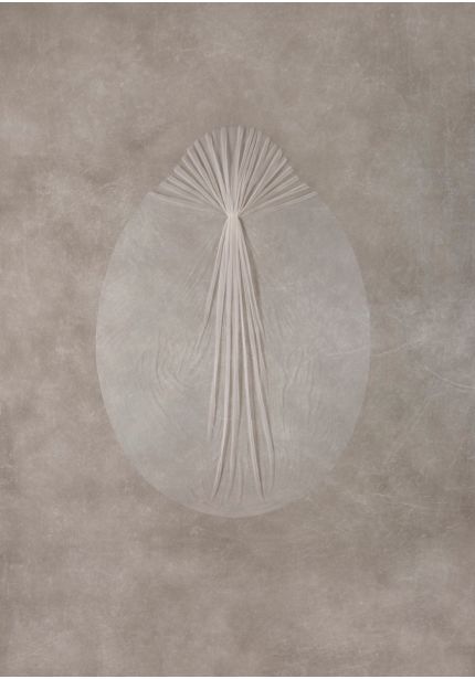 Plain Wedding Veil