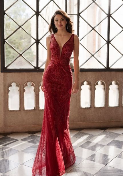 Beaded Lace Dress