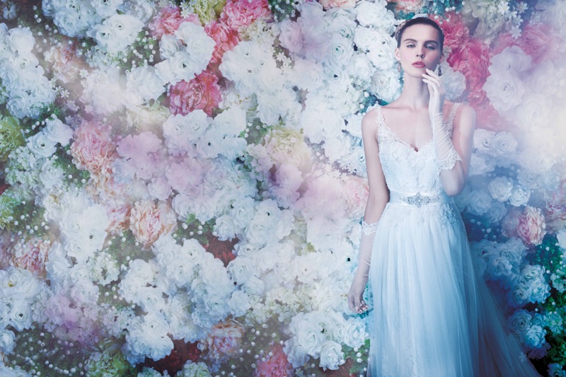 Introducing the Annasul Y 2014 Collection